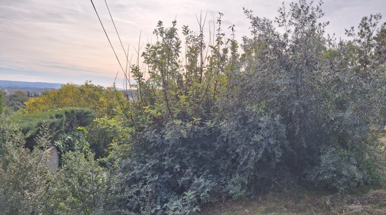 Tarragona - Alcover - 707m2