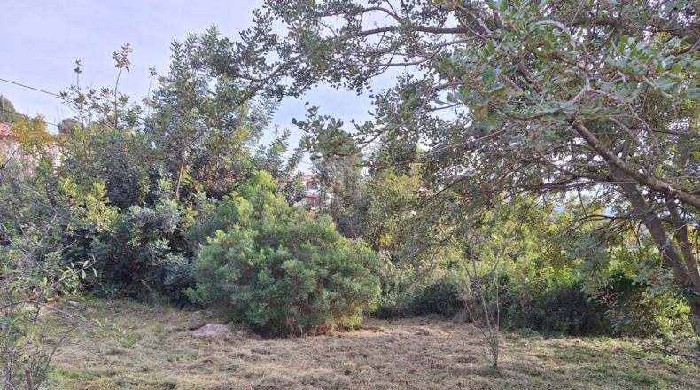 Tarragona - Alcover - 707m2