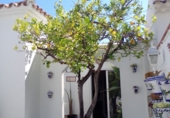 Xalet independent amb terreny en venda a Cambrils ref.: TR233862 foto