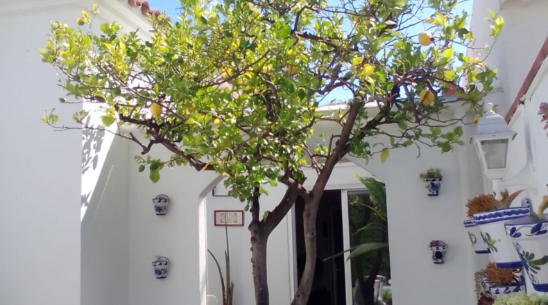 Tarragona - Cambrils - 396m2