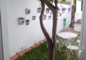 Xalet independent amb terreny en venda a Cambrils ref.: TR233862 foto