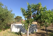 Terreno no urbanizable en venta en Reus ref: TR306294 foto
