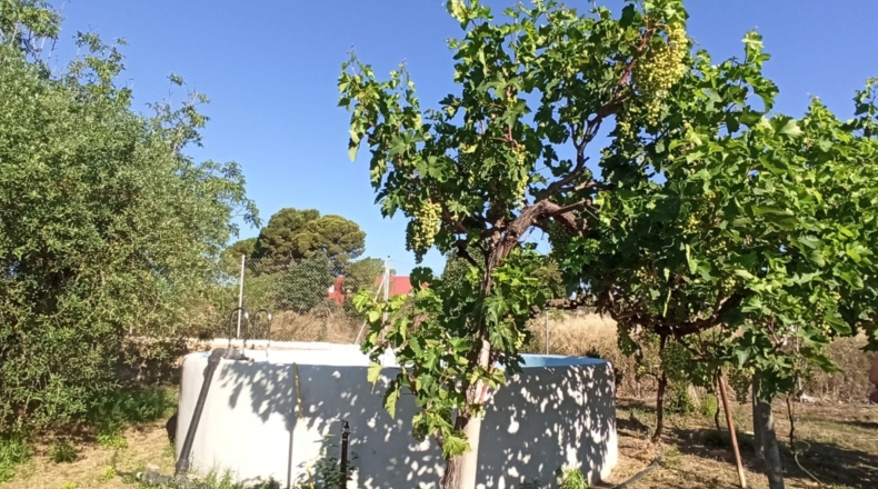 Tarragona - Reus - 2900m2