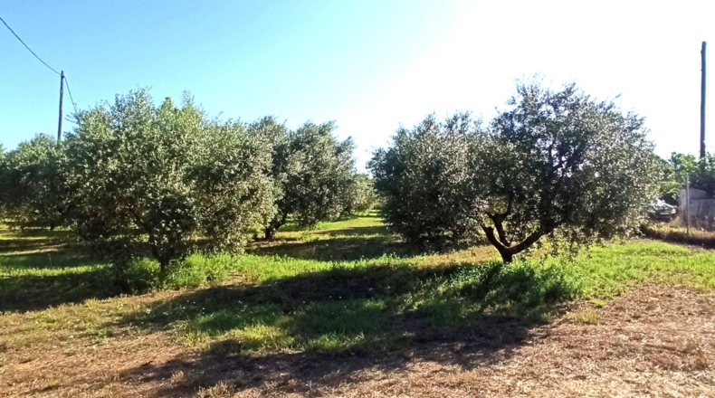 Tarragona - Reus - 2900m2