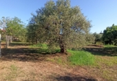 Terreno no urbanizable en venta en Reus ref: TR306294 foto