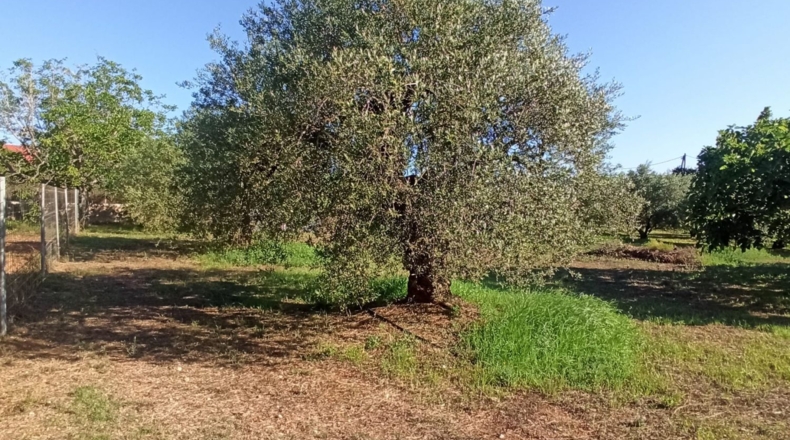 Tarragona - Reus - 2900m2