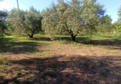 Terreno no urbanizable en venta en Reus ref: TR306294 foto