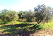 Terreno no urbanizable en venta en Reus ref: TR306294 foto
