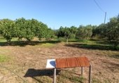 Terreno no urbanizable en venta en Reus ref: TR306294 foto