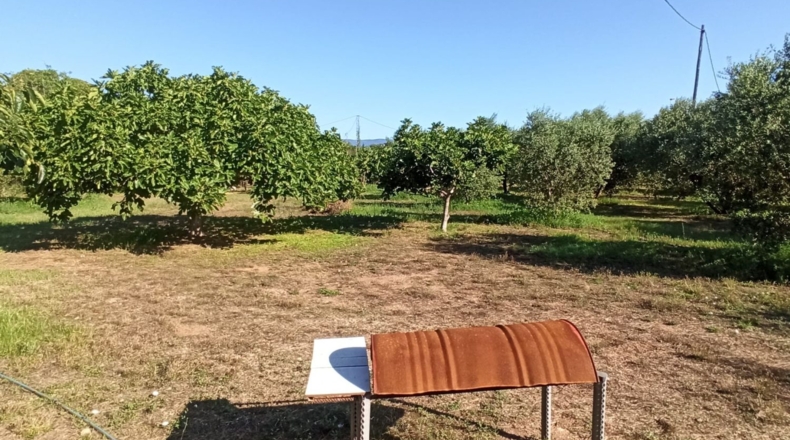 Tarragona - Reus - 2900m2