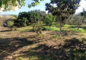 Terreno no urbanizable en venta en Reus ref: TR306294 foto