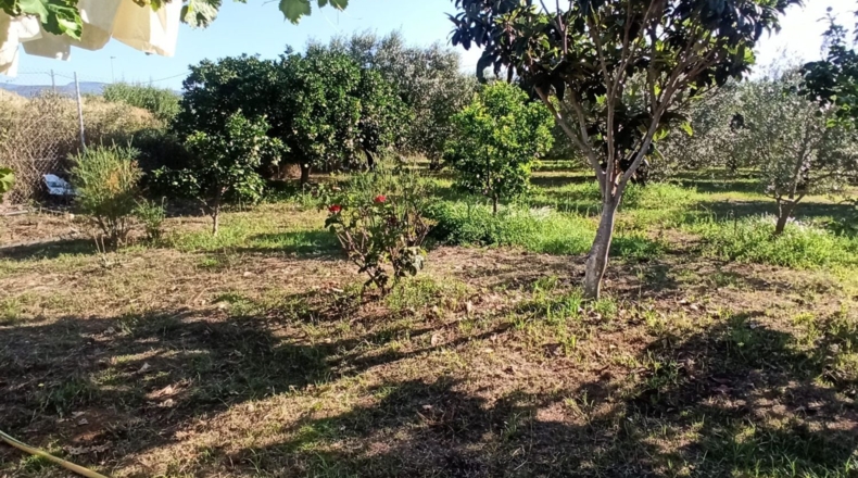 Tarragona - Reus - 2900m2