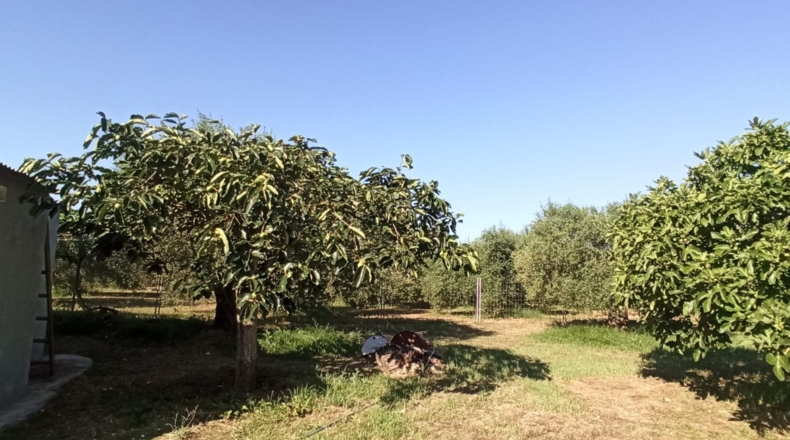 Tarragona - Reus - 2900m2