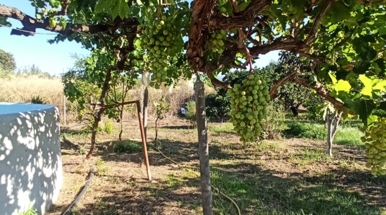 Tarragona - Reus - 2900m2