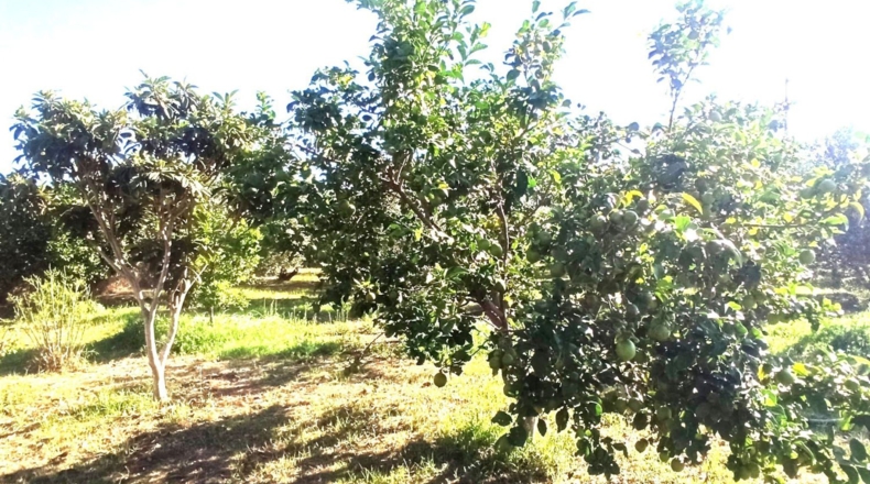 Tarragona - Reus - 2900m2