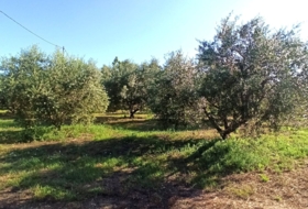 Foto 20