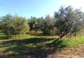 Terreno no urbanizable en venta en Reus ref: TR306294 foto