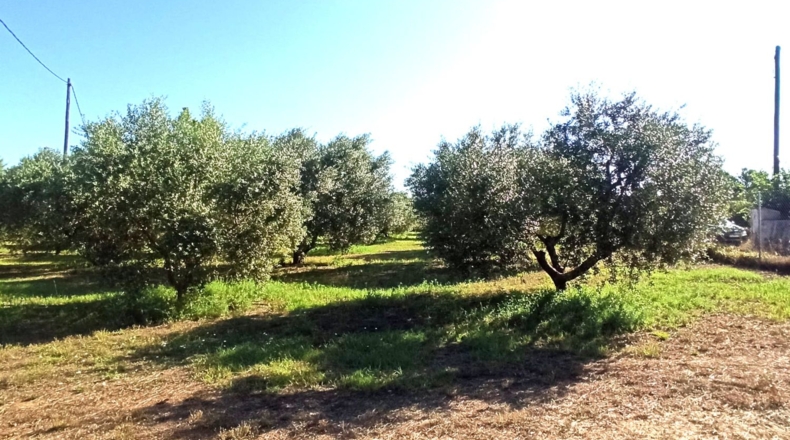 Tarragona - Reus - 2900m2