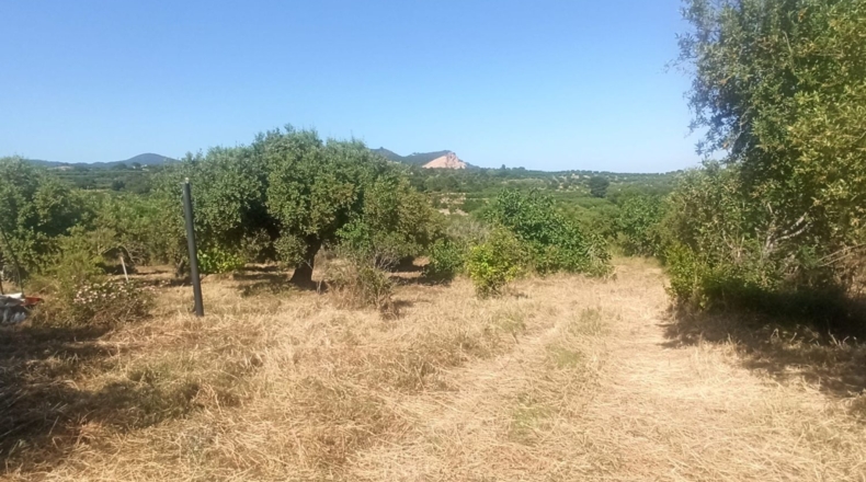 Tarragona - Maspujols - 5773m2