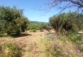 Terreno no urbanizable en venta en Maspujols ref: TR307610 foto