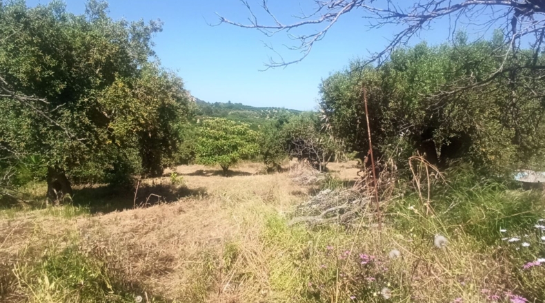 Tarragona - Maspujols - 5773m2