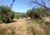 Terreno no urbanizable en venta en Maspujols ref: TR307610 foto