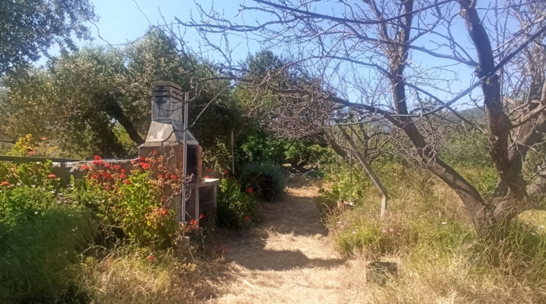 Tarragona - Maspujols - 5773m2