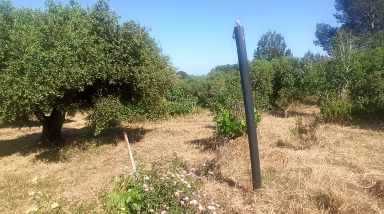 Tarragona - Maspujols - 5773m2