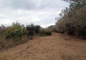 Terreno no urbanizable en venta en Reus ref: TR346541 foto
