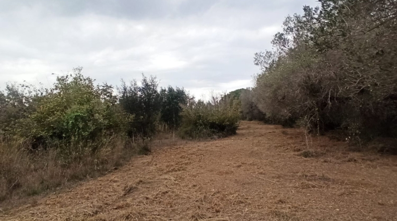 Tarragona - Реус - 27000m2