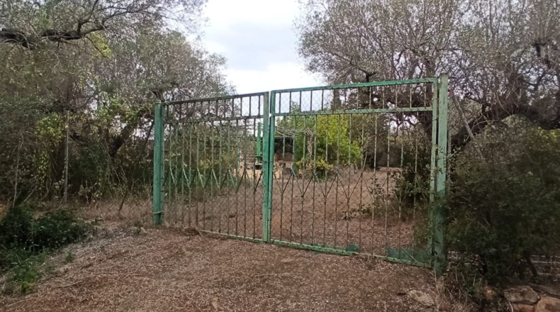 Tarragona - Реус - 27000m2