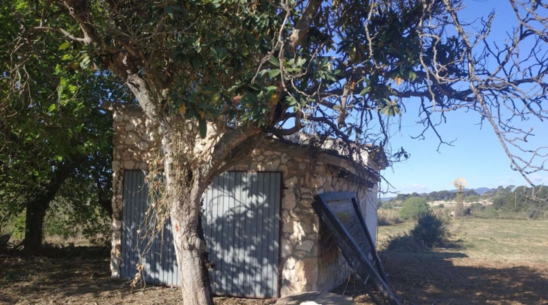 Tarragona - Vallmoll - 32253m2