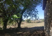Finca rústica en venda a Vallmoll ref.: TR186207 foto