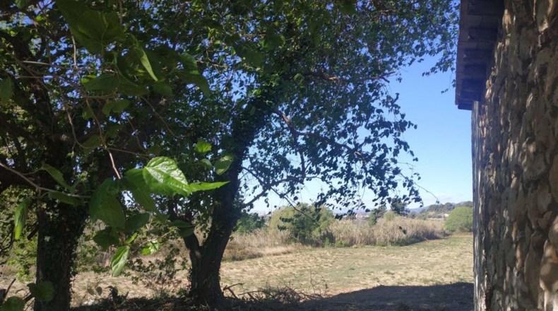Tarragona - Vallmoll - 32253m2
