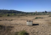 Finca rústica en venda a Vallmoll ref.: TR186207 foto
