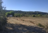 Finca rústica en venda a Vallmoll ref.: TR186207 foto