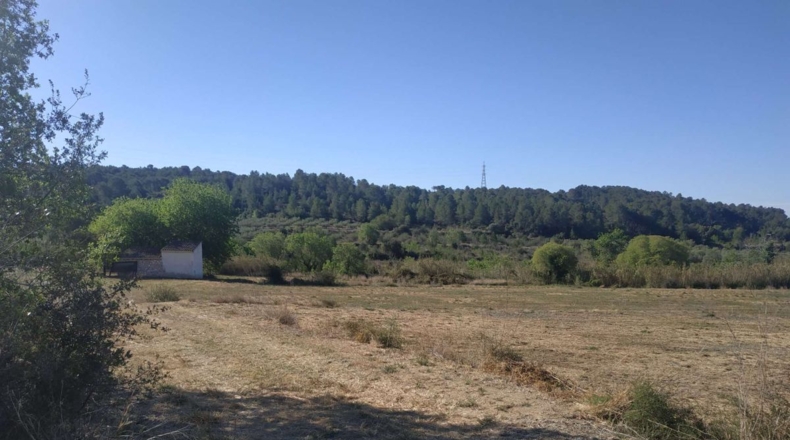 Tarragona - Vallmoll - 32253m2
