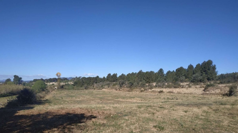 Tarragona - Vallmoll - 32253m2