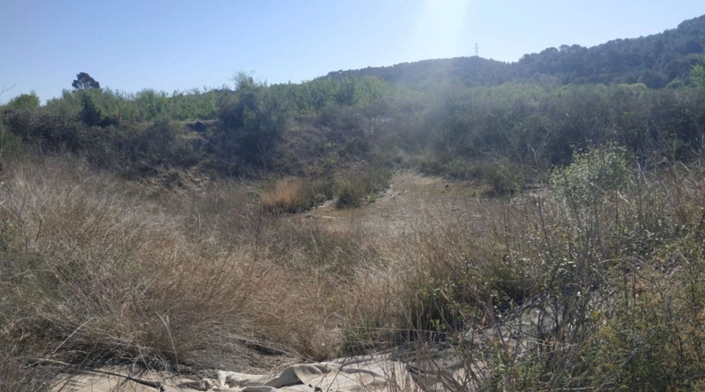 Tarragona - Vallmoll - 32253m2