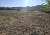 Finca rústica en venda a Vallmoll ref.: TR186207 foto