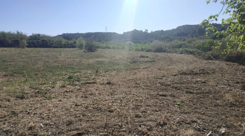Tarragona - Vallmoll - 32253m2