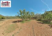 Finca rústica en venda a Santes Creus ref.: TR373018 foto