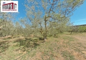 Finca rústica en venda a Santes Creus ref.: TR373018 foto
