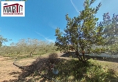 Finca rústica en venda a Santes Creus ref.: TR373018 foto