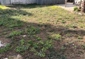 Sòl urbà en venda a el Catllar ref.: TR381250 foto