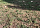 Sòl urbà en venda a el Catllar ref.: TR381250 foto