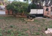 Sòl urbà en venda a el Catllar ref.: TR381250 foto