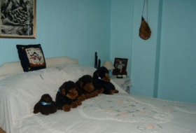 Foto 15