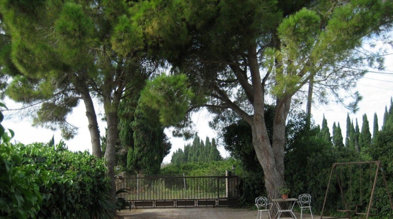 Tarragona - l'Aldea - 6000m2