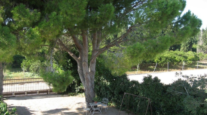 Tarragona - l'Aldea - 6000m2